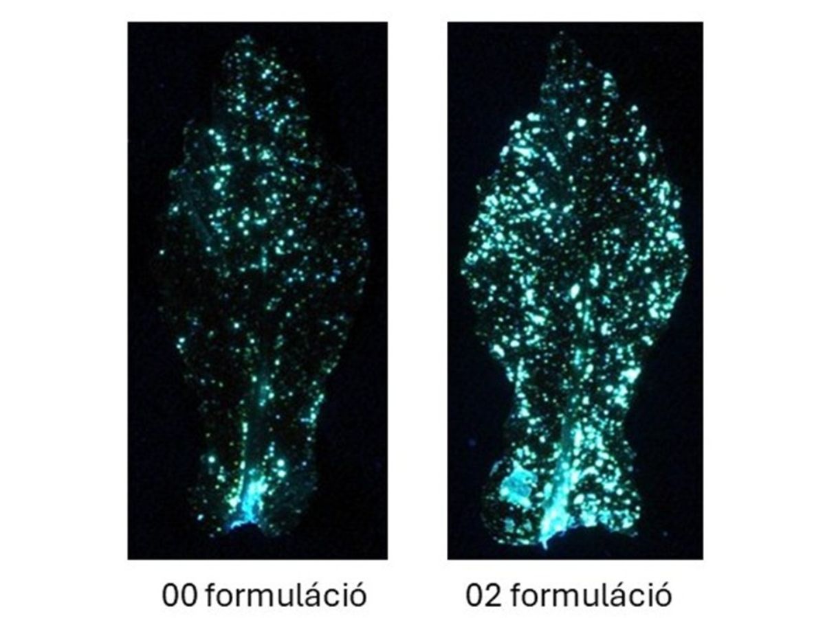 center-overlay-pic